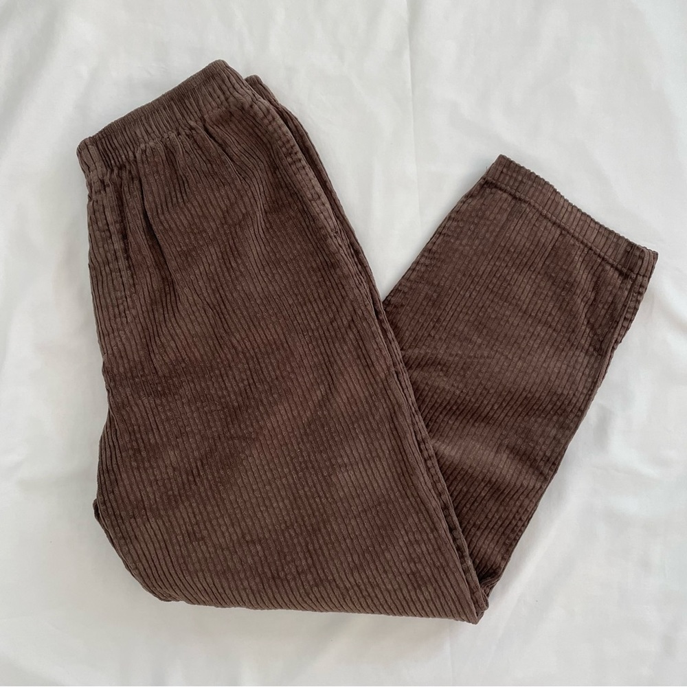 Urban Outfitters Brown Corduroy Pants